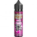 Lemon Berry e-Liquid IndeJuice Cloudy Alley 50ml Bottle