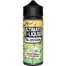 Blossom Sweet Melon & Cucumber e-Liquid IndeJuice Ultimate Puff 100ml Bottle